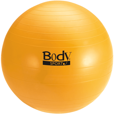 Body Sport Fitness Ball