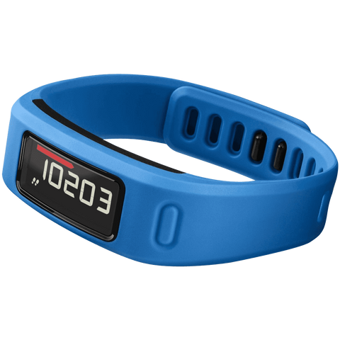 Garmin Vivofit Fitness Band