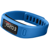 Garmin Vivofit Fitness Band