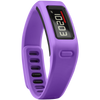 Garmin Vivofit Fitness Band